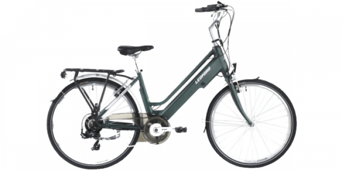 Leopard E-Bike Railway II 26»