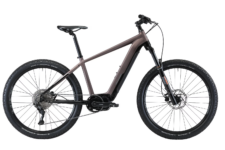 Allegro E-Mountainbike CrossTour Pro bei Jumbo