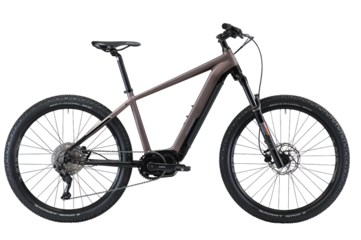 Allegro E-Mountainbike CrossTour Pro bei Jumbo