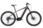Allegro E-Mountainbike CrossTour Pro bei Jumbo
