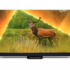 SAMSUNG QE75Q70C bei Interdiscount