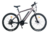 E-Mountainbike ZENITH X-SPORT ZXM